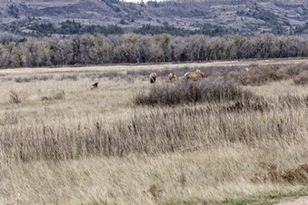 Enlarge photo 108