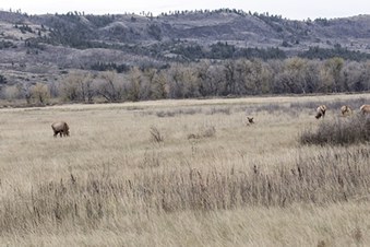 Enlarge photo 109
