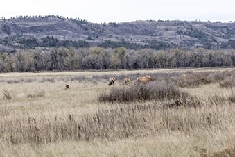 Enlarge photo 110