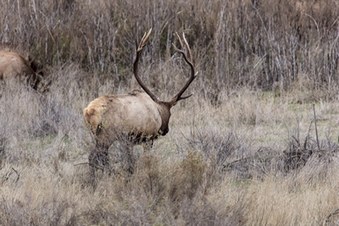 Enlarge photo 111