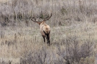Enlarge photo 117