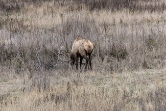Enlarge photo 118
