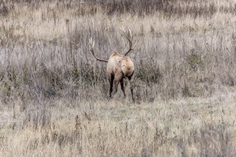 Enlarge photo 119