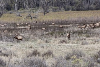 Enlarge photo 128