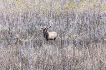 Enlarge photo 139