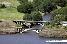 Enlarge photo 57
