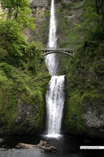 Enlarge photo 59