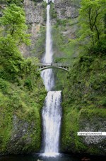 Enlarge photo 61