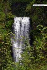 Enlarge photo 63