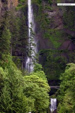 Enlarge photo 64