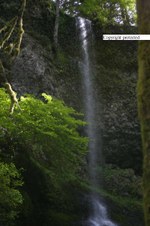 Enlarge photo 68