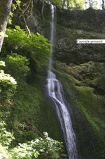 Enlarge photo 69
