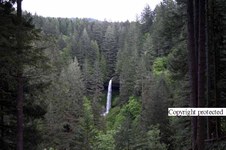 Enlarge photo 72