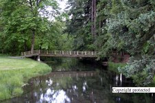 Enlarge photo 75