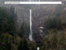 Enlarge photo 41