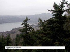 Enlarge photo 53