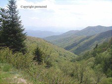 Enlarge photo 18