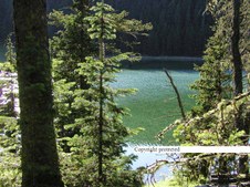Enlarge photo 30