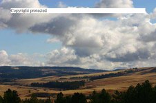 Enlarge photo 32