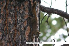 Enlarge photo 34