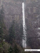 Enlarge photo 39