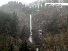 Enlarge photo 40