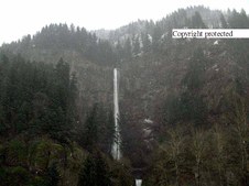 Enlarge photo 43