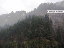 Enlarge photo 44