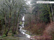 Enlarge photo 55