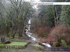 Enlarge photo 56