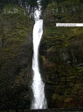 Enlarge photo 47