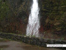Enlarge photo 48