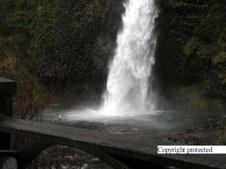 Enlarge photo 49