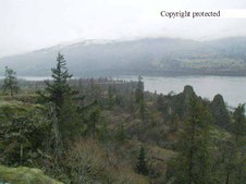 Enlarge photo 51