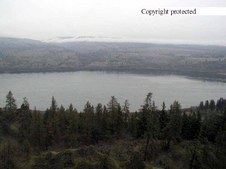 Enlarge photo 54