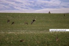 Enlarge photo 29