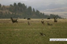 Enlarge photo 30