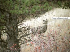 Enlarge photo 105