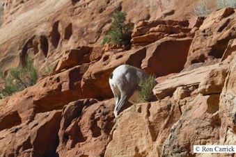 Enlarge photo 18