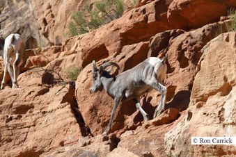 Enlarge photo 24