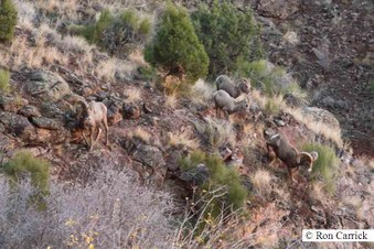 Enlarge photo 26