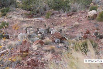 Enlarge photo 35