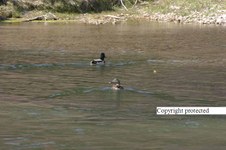 Enlarge photo 34