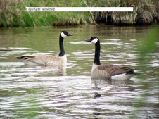 Enlarge photo 1