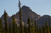 Enlarge photo 63