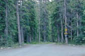 Enlarge photo 64