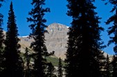 Enlarge photo 66