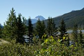 Enlarge photo 71