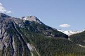 Enlarge photo 78