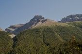 Enlarge photo 80